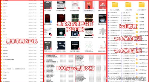網(wǎng)絡(luò)安全與黑客技術(shù) 自學計算機軟硬件的全面指南